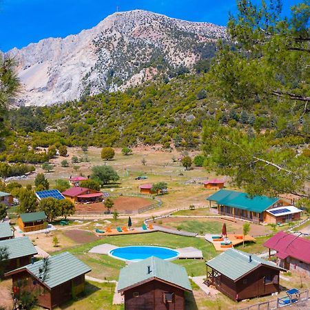 Hôtel Babakamp Eco Ranch & Retreat à Ölüdeniz Extérieur photo