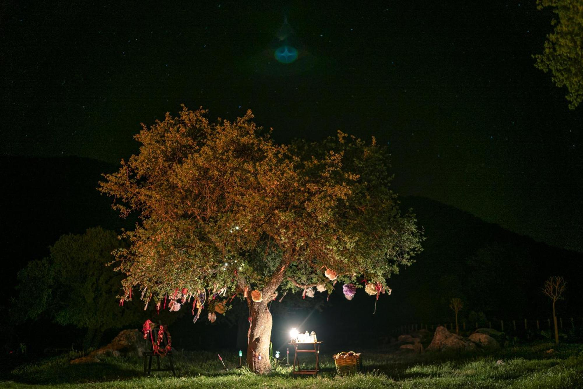 Hôtel Babakamp Eco Ranch & Retreat à Ölüdeniz Extérieur photo