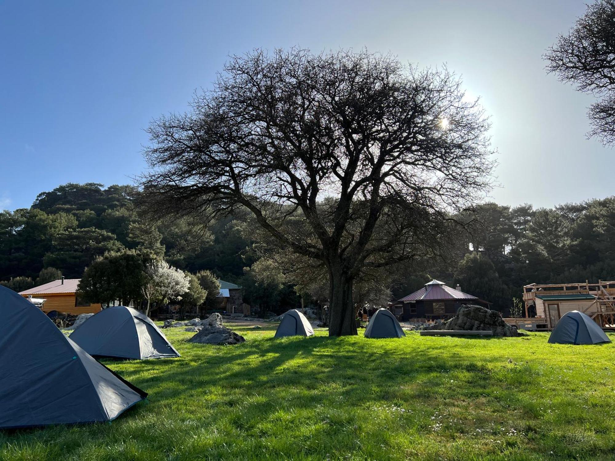 Hôtel Babakamp Eco Ranch & Retreat à Ölüdeniz Extérieur photo