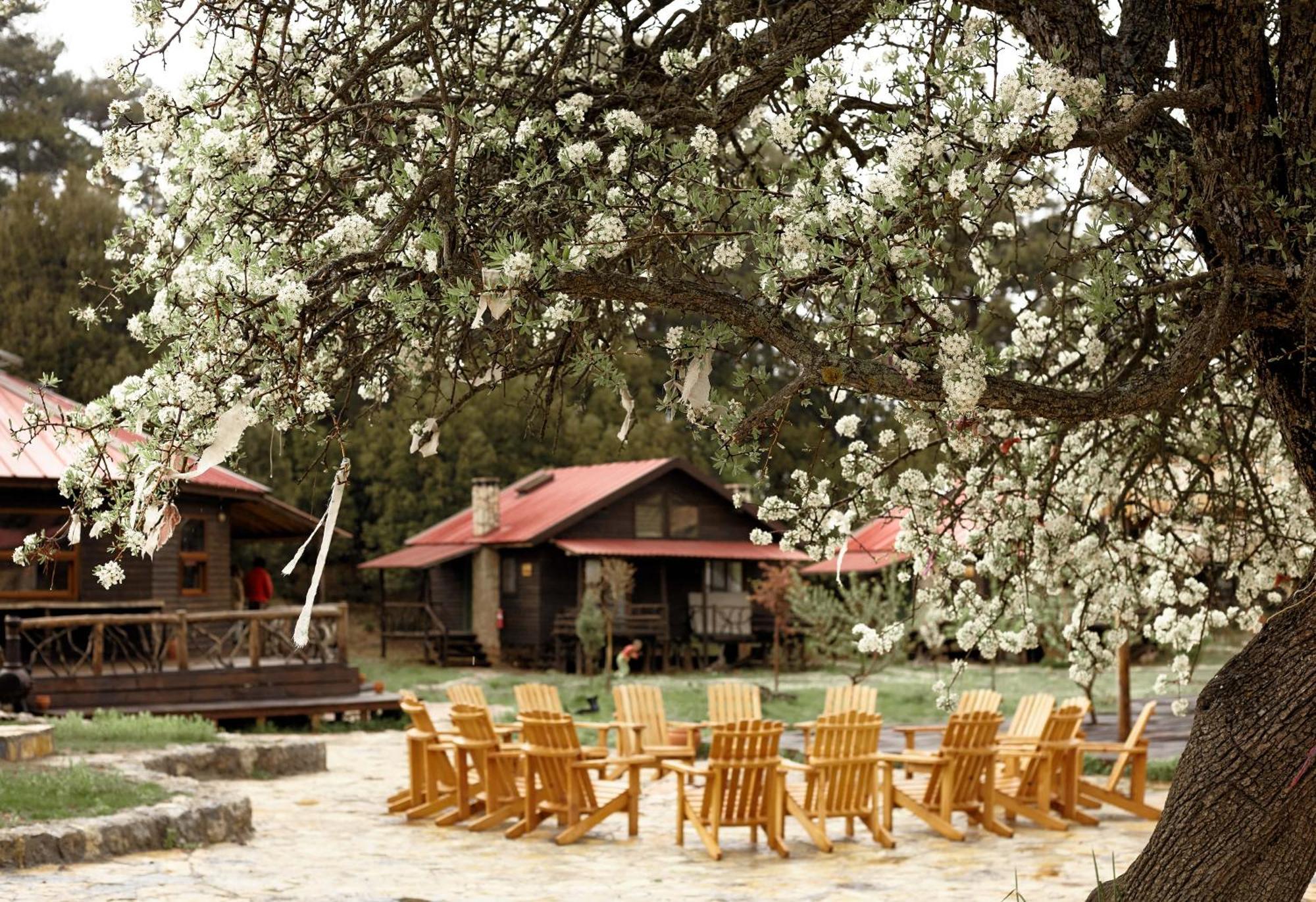 Hôtel Babakamp Eco Ranch & Retreat à Ölüdeniz Extérieur photo